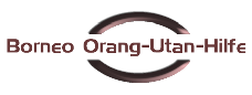 Borneo Orang-Utan-Hilfe